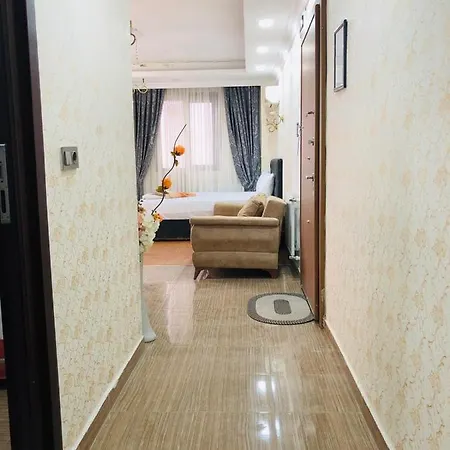 Appart hôtel Ayasofya Deluxe Apartt Istambul
